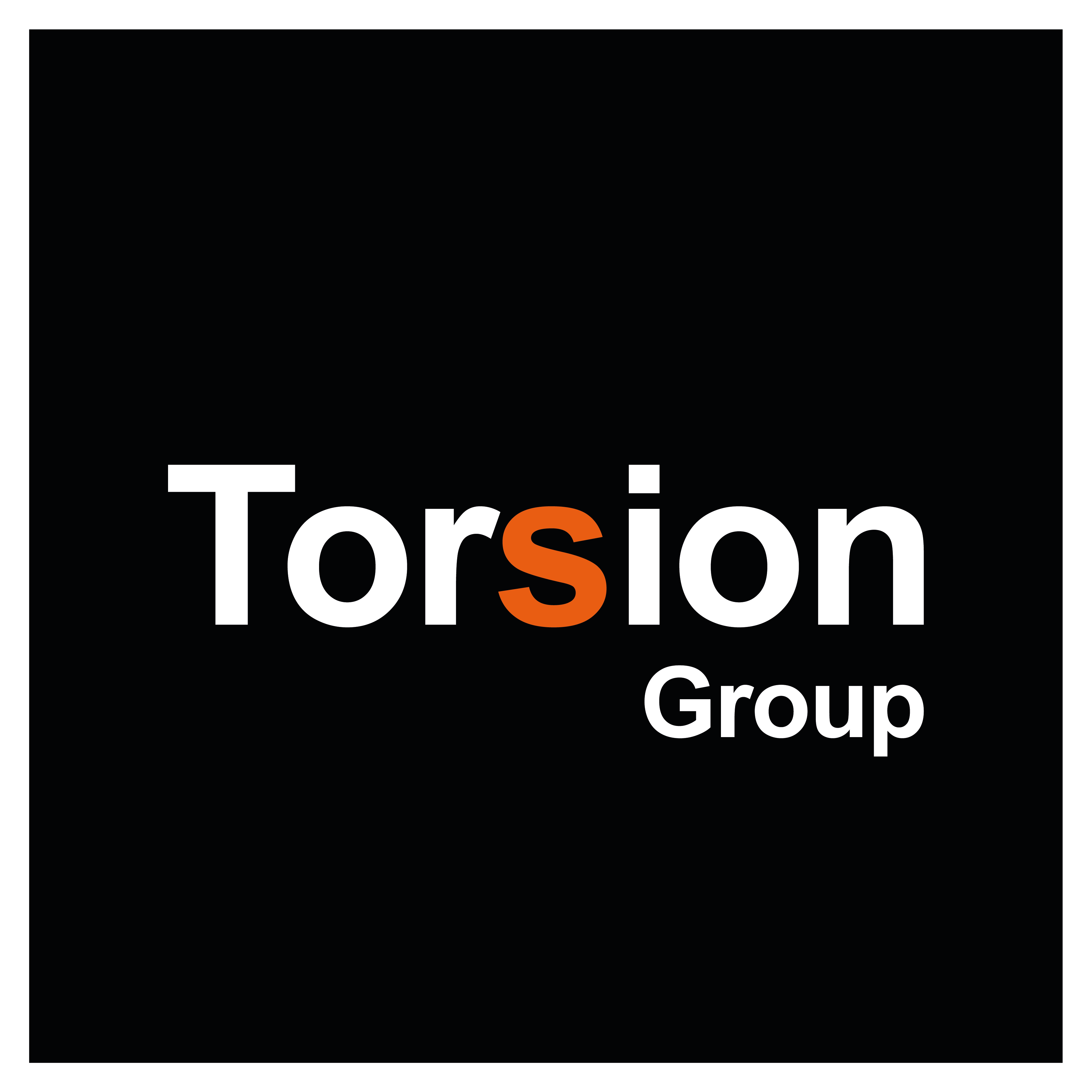 TORSION GROUP